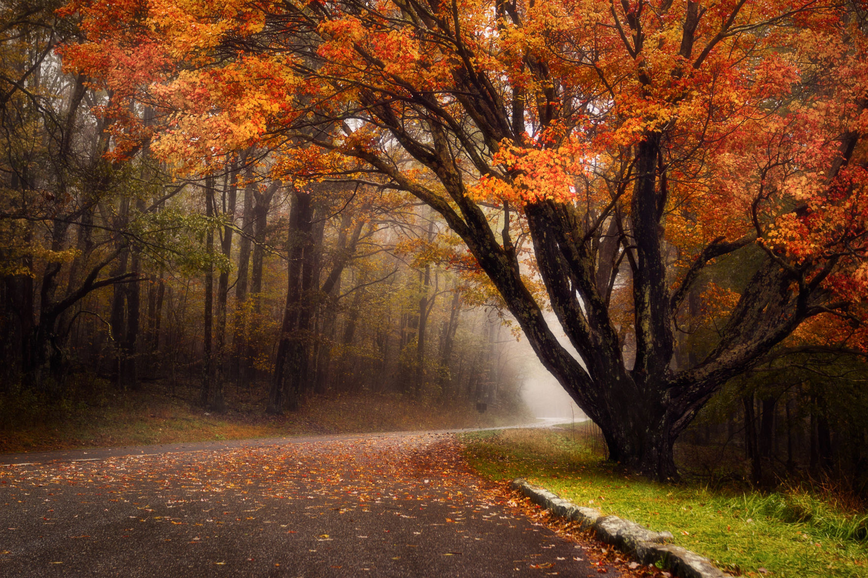 Highways & Byways Category Honorable Mention #1: